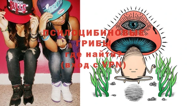 дмт Арсеньев