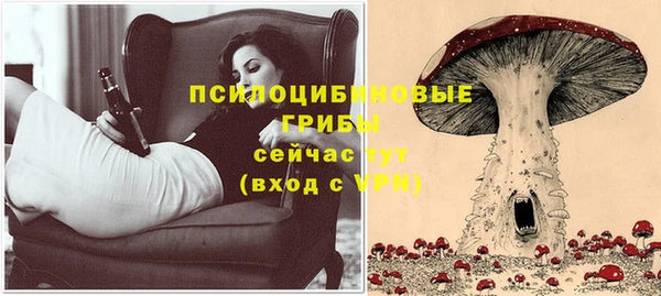 дмт Арсеньев