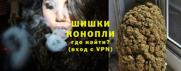 дмт Арсеньев