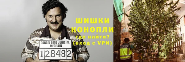 дмт Арсеньев