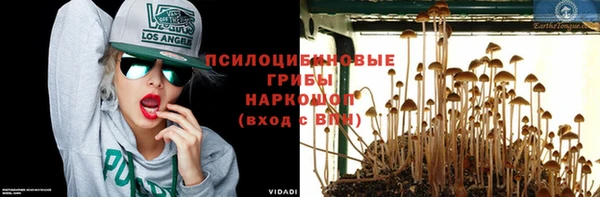 гидропоника Армянск
