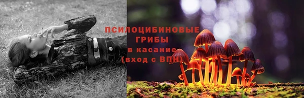 скорость Аркадак